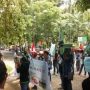 HMI Sampang Demo Bupati Fannan Mundur dari Jabatan