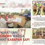 Karapan Sapi Jadi Kreasi Lukman Tingkatkan Ekonomi Warga Katol Barat