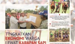 Karapan Sapi Jadi Kreasi Lukman Tingkatkan Ekonomi Warga Katol Barat