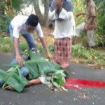 Tabrakan Sepeda vs Truk, Kepala Tertindih Truk. Ngeri…..