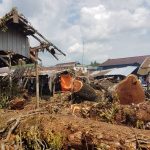 Tebang Pohon Sembarangan, Puluhan Lapak Pedagang Rusak