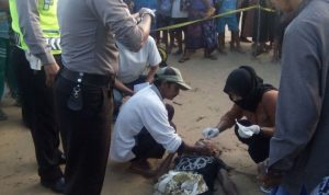 Diduga Tenggelam, Warga Kolpo Ditemukan Tewas di Pantai Dapenda