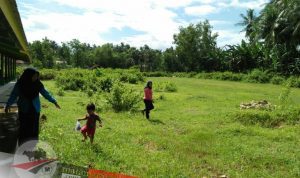 Pedagang Sapi Minta Pemerintah Hidupkan Pasar Hewan Batang-Batang
