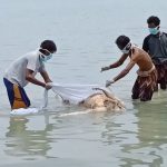 Cari Udang, Nelayan di Giligenting Sumenep Malah Dapat Mayat