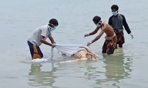 Cari Udang, Nelayan di Giligenting Sumenep Malah Dapat Mayat