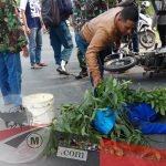 Breaking News: Jalur Suramadu Kembali Makan Korban. Diduga Korban dari TNI AL