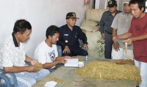 Jurus Jitu Kholilurrahman Angkat Nasib Petani Tembakau