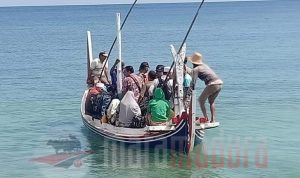 Jalan-Jalan ke Pulau Sapi; Jumlah Penduduk Kalah dengan Jumlah Sapi (1)