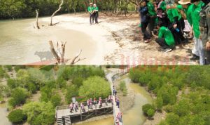 Ketika Bupati Ra Latif Gairahkan Objek Wisata Taman Mangrove