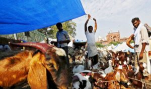 Ketika Umat Islam di India Dilarang Rayakan Idul Adha Potong Kurban