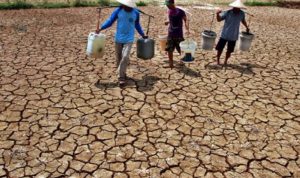 Tiap Tahun Kekeringan Landa Bangkalan. Bagaimana Solusi Jangka Panjang?