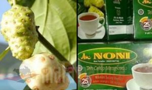 Inovasi Buah Mengkudu: Ekonomis dan Menyehatkan