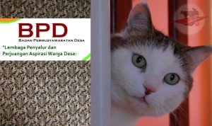 Cerita Petak Umpet Pemilihan Anggota BPD di Bangkalan