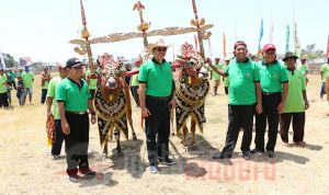 Bagian dari Visit Sumenep, Ini Tujuan Karapan Sapi Tanggapan