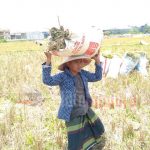 Cakades Madjuri Jadi Penantang Baru di Pilkades Karang Anyar, Usung Semangat Perubahan Bangun Desa