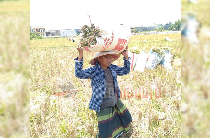 Madjuri, Cakades Desa Karang Anyar Sampang