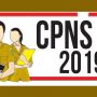 CPNS 2019