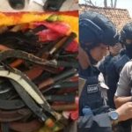 200 Sajam Berhasil Diamankan di Pilkades Bira Barat Sampang