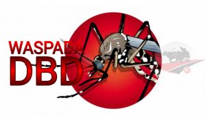 Dinkes Sumenep Imbau Masyarakat Waspada DBD, Ini yang Harus Diperhatikan