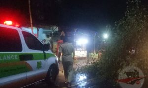 Pohon Tumbang Menutupi Separuh JL Raya Saronggi Sumenep