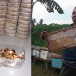 Cerita Hozairi; Peternak Lebah Madu Yang Berpenghasilan Rp 120 Juta/Bulan