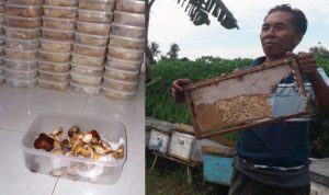 Cerita Hozairi; Peternak Lebah Madu Yang Berpenghasilan Rp 120 Juta/Bulan