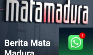 Siap-Siap! WhatsApp Tak Berfungsi di Android versi Jadul. Kenapa?