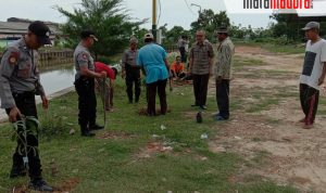 Antisipasi Banjir dan Tanah Longsor, Forkopimka Saronggi Lakukan Penanaman Bibit Pohon di Tepi Kali Saroka