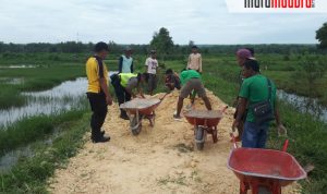 Bersama Kelompok Siaga Bencana, Polsek Saronggi Timbun Jalan PUD yang Becek