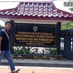 Bang Jani, Terobosan Dispertahortbun Dongkrak Ekonomi Petani di Bangkalan