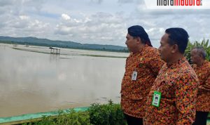Begini Nasib Puluhan Hektar Sawah Akibat Banjir di Sumenep