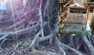 Kisah Kiai Muzakki Batokolong, Petapa Berkaromah Tinggi