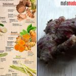 Manfaat Jahe, Kunyit, Serei dan Temulawak Penangkal Virus Corona