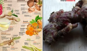 Manfaat Jahe, Kunyit, Serei dan Temulawak Penangkal Virus Corona