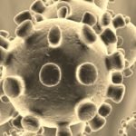 Arus Mudik Jakarta-Madura di Tengah Wabah Corona