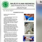 Surat MUI: Ulama, Kiai dan Ustadz Hati-hati Rapid Test. CEK FAKTA