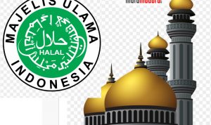 Moda Transportasi Dibuka, MUI Minta Masjid juga Dibuka