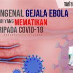 Mengenal Gejala Ebola, Wabah yang Mematikan daripada Covid-19
