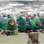 Buah Simalakama, PT Tanjung Odi Sumenep Masih Berproduksi