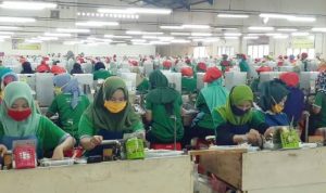 Buah Simalakama, PT Tanjung Odi Sumenep Masih Berproduksi