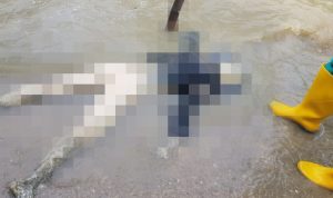 Mayat Tanpa Identitas Tergeletak di Pantai Kwanyar