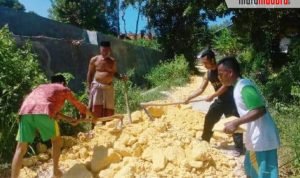 Menkopolhukam Bakal ke Pamekasan, Warga Plakpak Perbaiki Jalan Rusak
