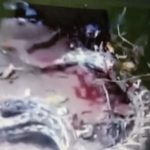 Remaja di Bombana Tewas Dimangsa Ular Piton 7 Meter