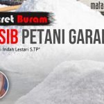 Potret Buram Nasib Petani Garam