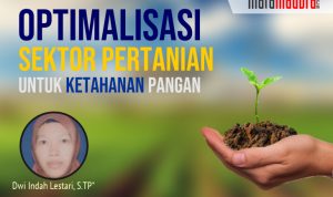 Optimalisasi Sektor Pertanian untuk Ketahanan Pangan
