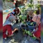 PMM UMM di Pamekasan