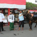 Polres Bangkalan Berkurban 13 Sapi dan 2 Kambing dengan Protokol Kesehatan