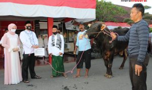 Polres Bangkalan Berkurban 13 Sapi dan 2 Kambing dengan Protokol Kesehatan