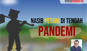 Nasib Petani di Tengah Pandemi