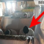 Sebelum Menuju KPU Sumenep, Bakal Paslon Fauzi-Eva Ziarah ke Asta Tinggi